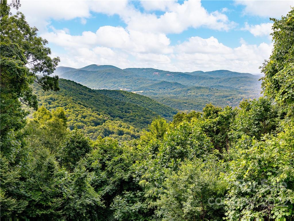 90 Hickory Forest Road Fairview NC 28730