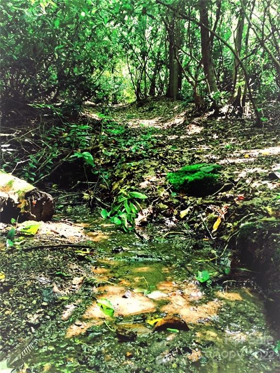 90 Hickory Forest Road Fairview NC 28730