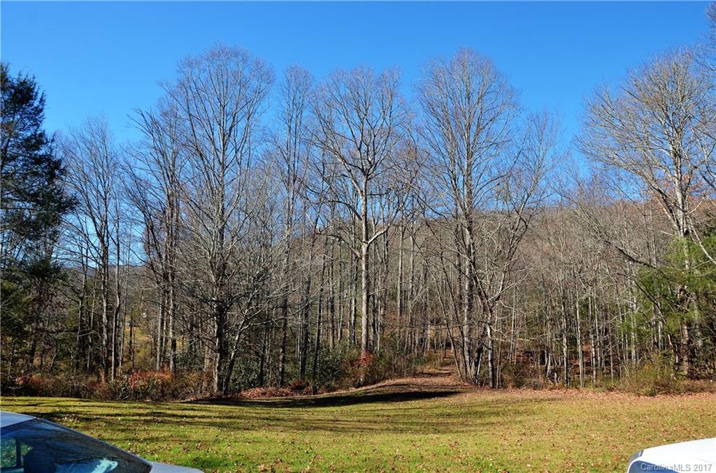 57 Hunters Field Lane Mills River NC 28759