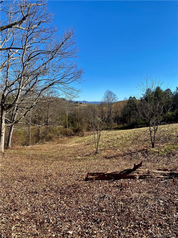 25 Missionary Lane Leicester NC 28748