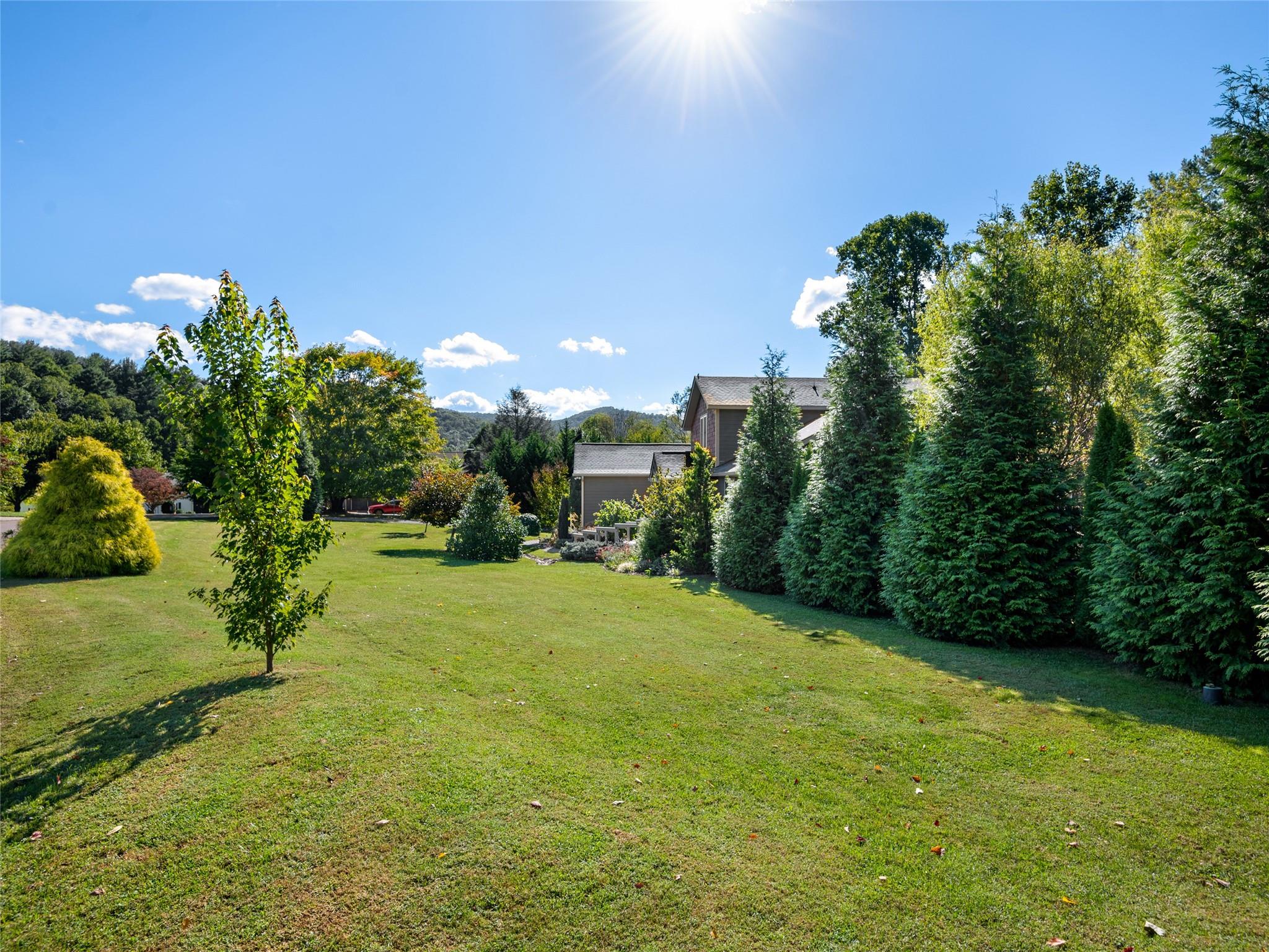 9 Creek Drive Asheville NC 28805