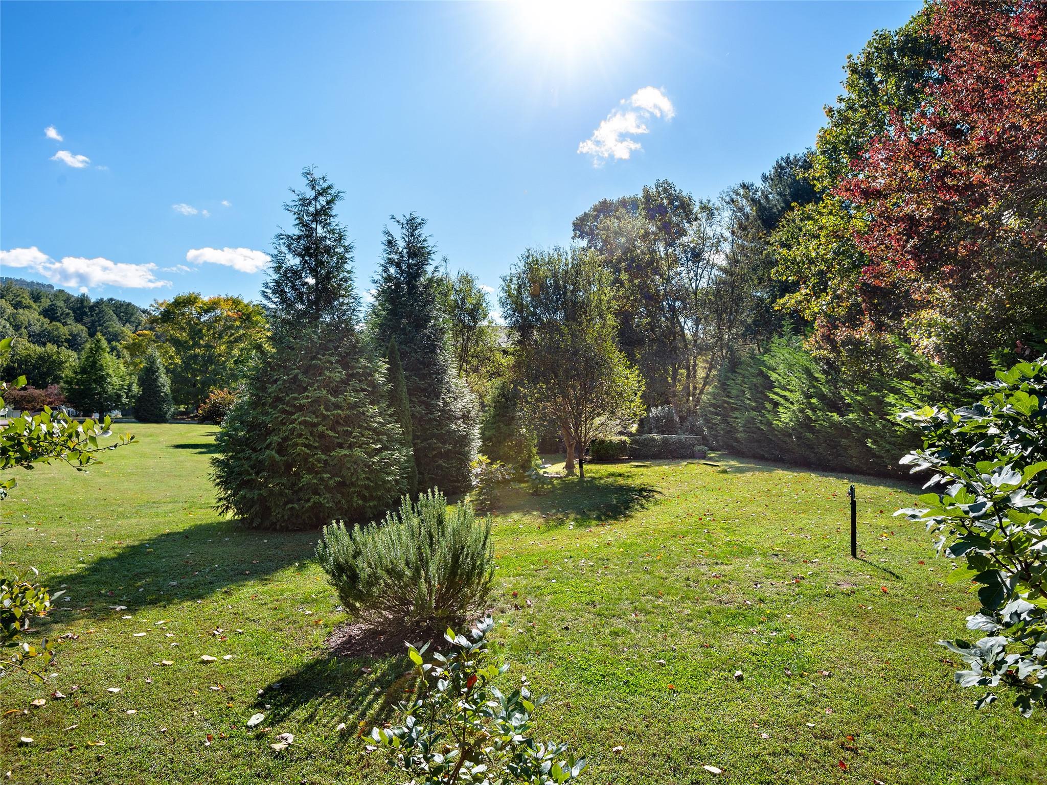 9 Creek Drive Asheville NC 28805
