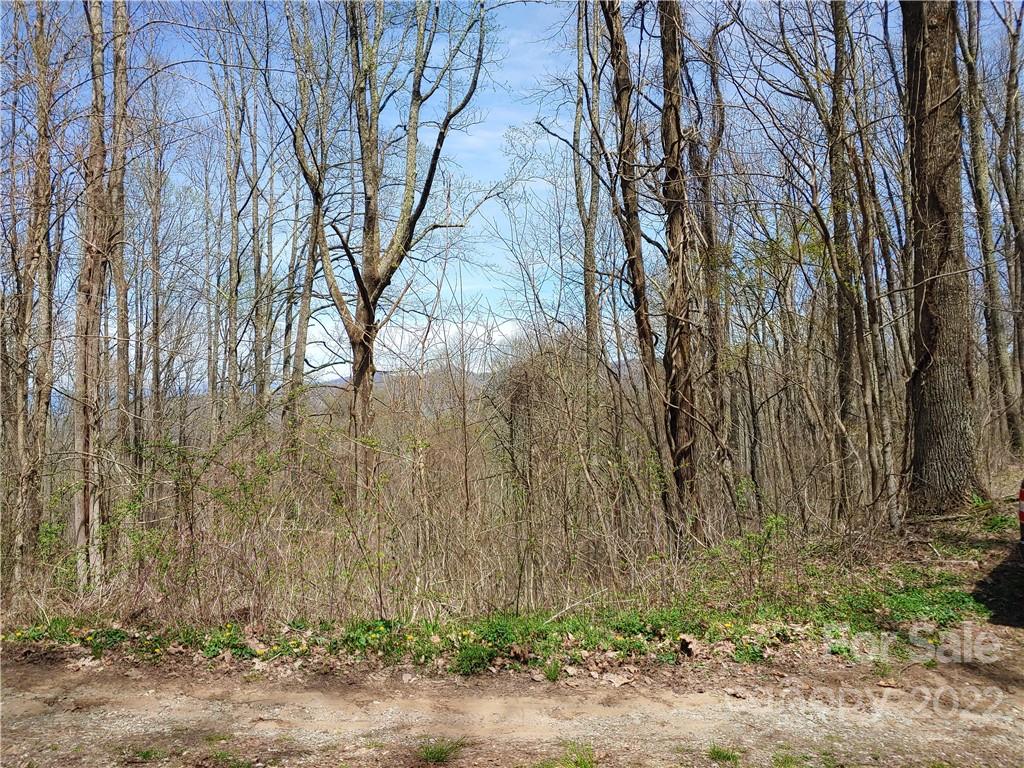 TBD (3.84) Elk Mountain Scenic Highway Asheville NC 28804
