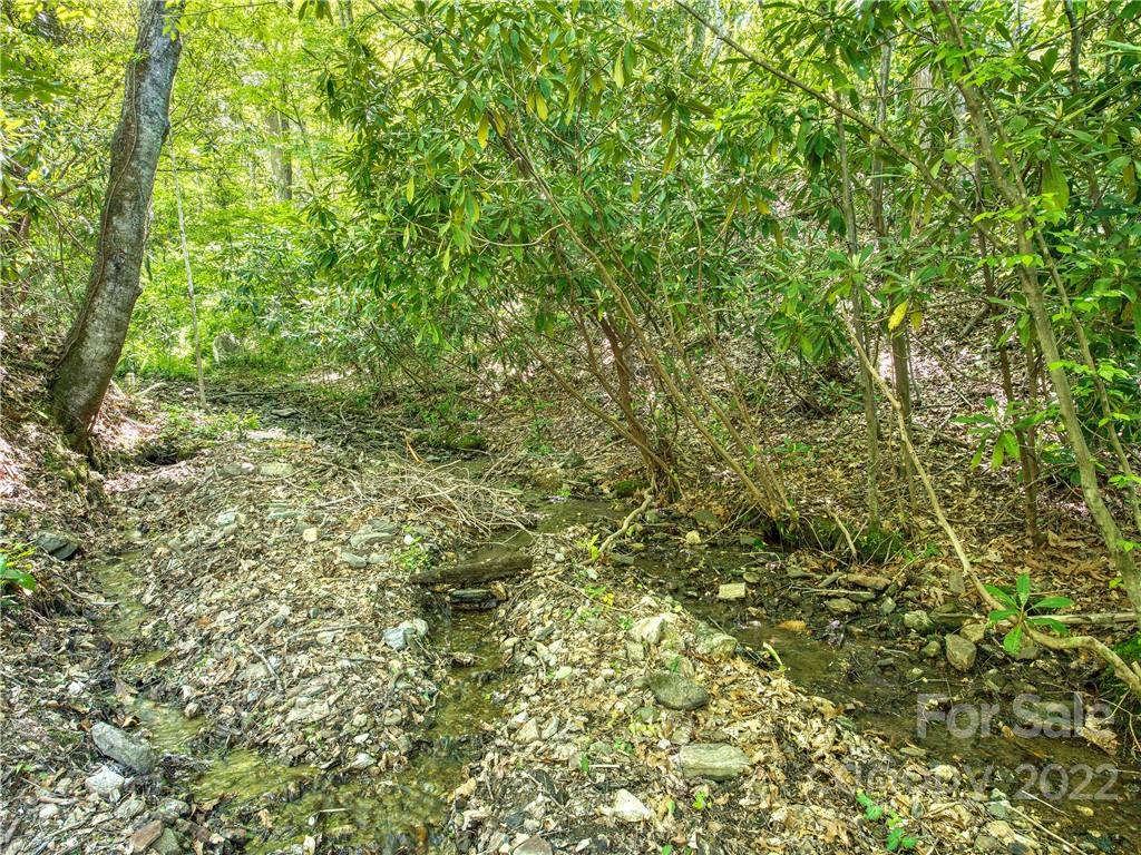 599 Mountain Lake Drive Waynesville NC 28785