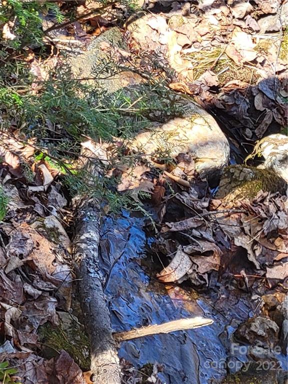 1626 Seven Mile Ridge Road Burnsville NC 28714