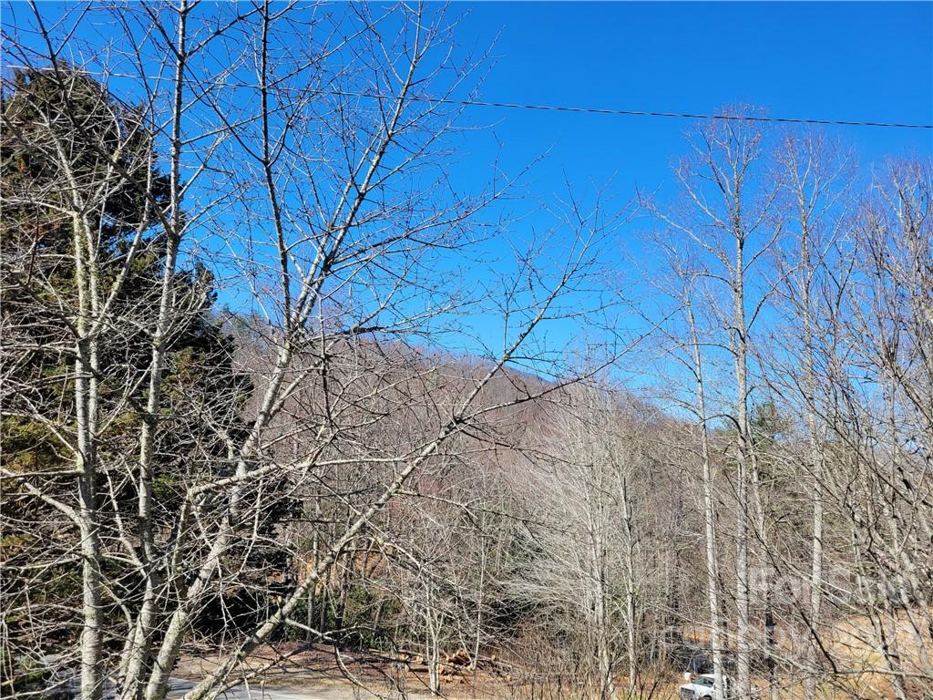 1626 Seven Mile Ridge Road Burnsville NC 28714