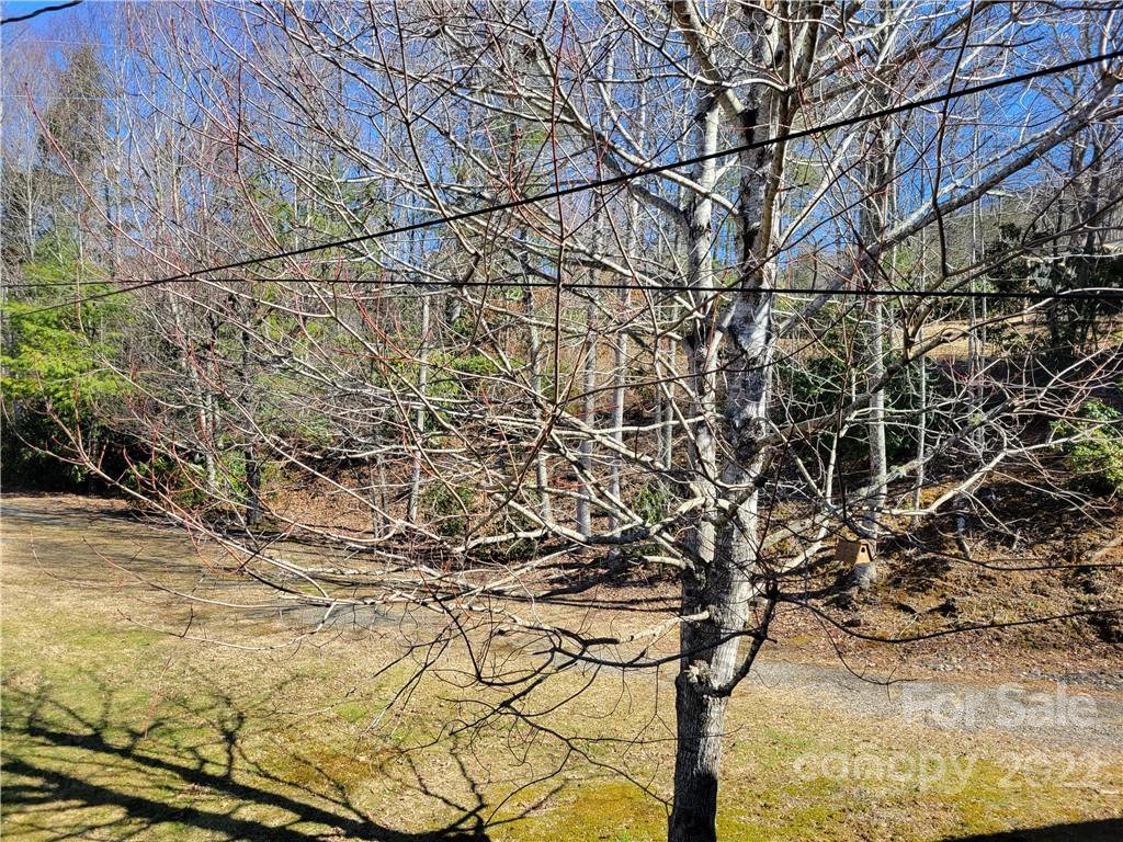 1626 Seven Mile Ridge Road Burnsville NC 28714