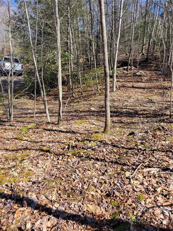 1626 Seven Mile Ridge Road Burnsville NC 28714