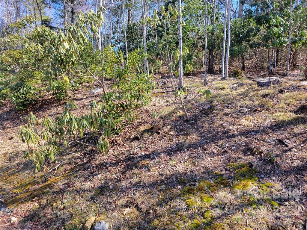1626 Seven Mile Ridge Road Burnsville NC 28714