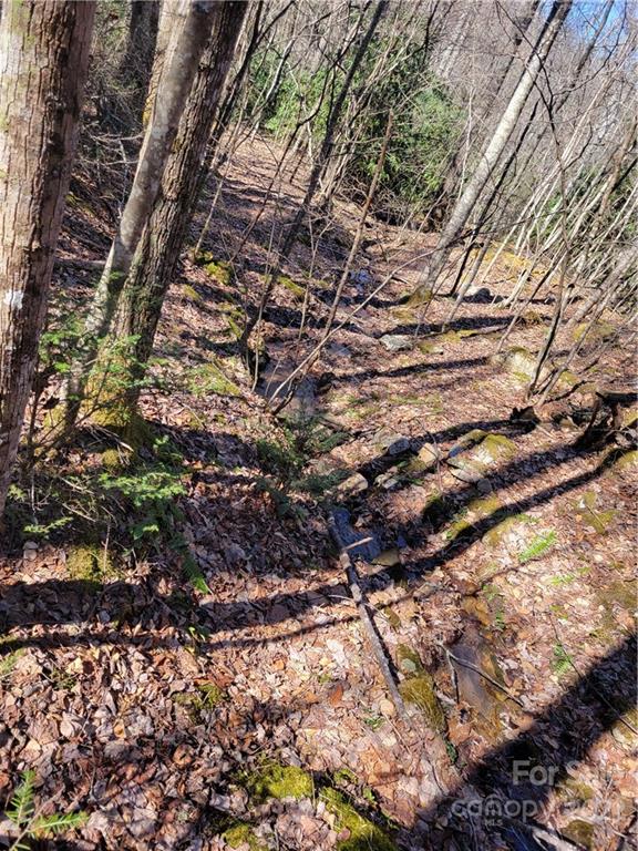 1626 Seven Mile Ridge Road Burnsville NC 28714