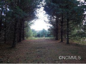 76 Ball Gap Road Arden NC 28704