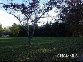 76 Ball Gap Road Arden NC 28704