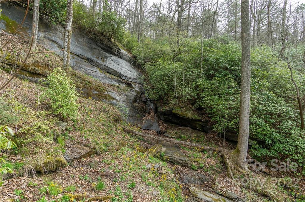 1424 Wolf Pen Road Old Fort NC 28762