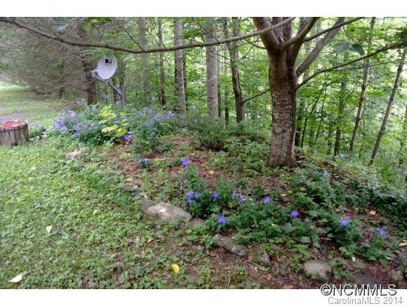 75 Cracker Trail Burnsville NC 28714