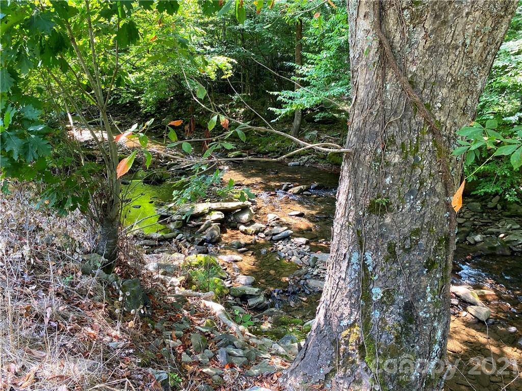 995 Cattail Creek Road Burnsville NC 28714