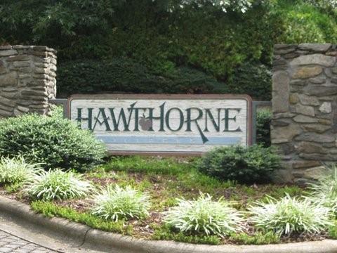 32b Larkspur Court Asheville NC 28805