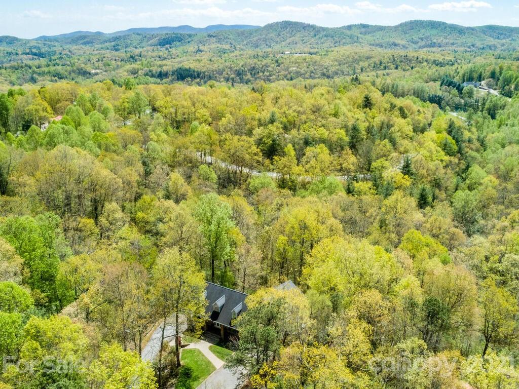 737 Mine Gap Road Zirconia NC 28790
