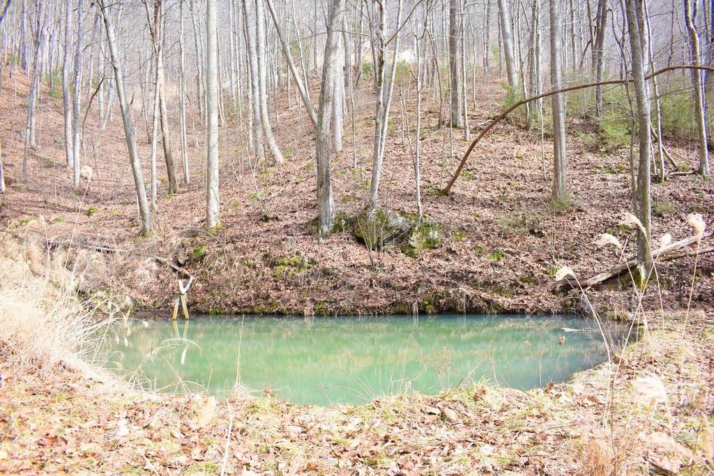 500 Robert Wilson Drive Marshall NC 28753