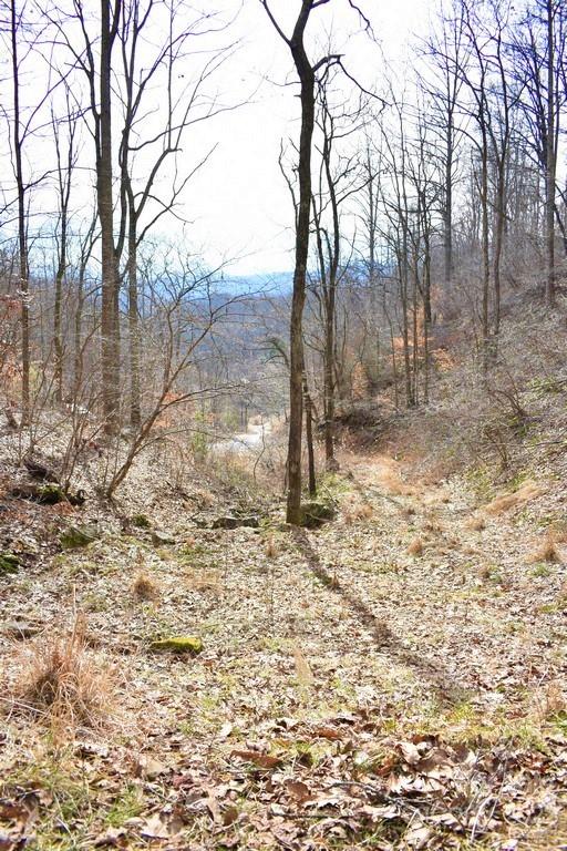 500 Robert Wilson Drive Marshall NC 28753