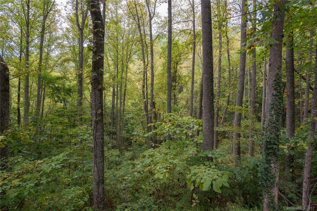 180 Pink Fox Cove Road Weaverville NC 28787