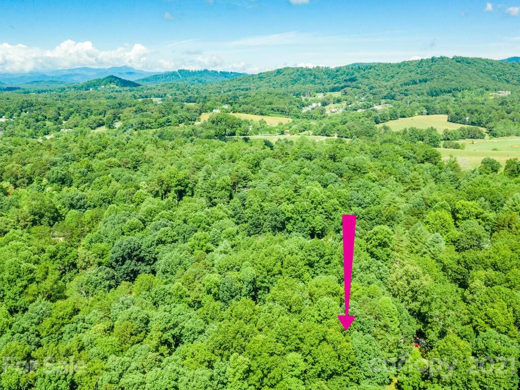 55 Ivy Lane Fletcher NC 28732