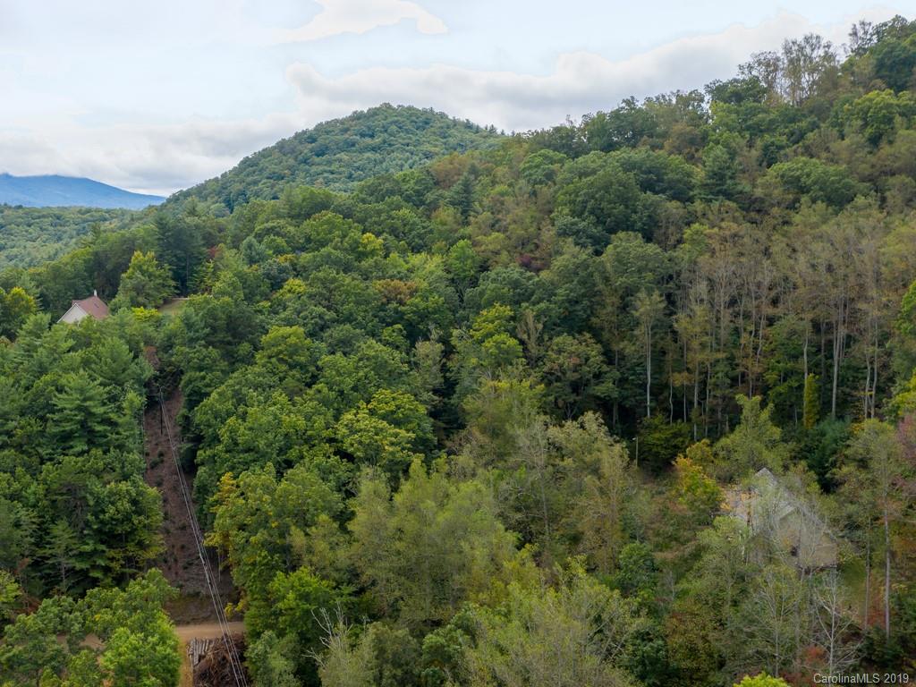 64 Fox Den Road Asheville NC 28805