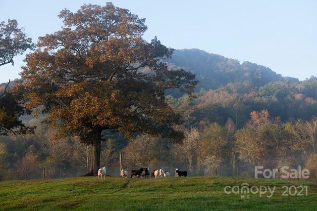 2560 King Road Pisgah Forest NC 28768