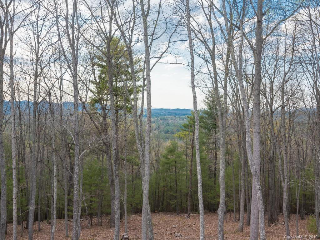 319 S Braeside Court Asheville NC 28803