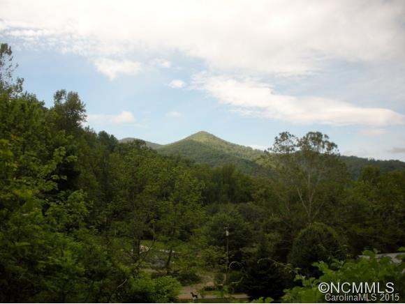 70 Mcdaris Cove Road Weaverville NC 28787