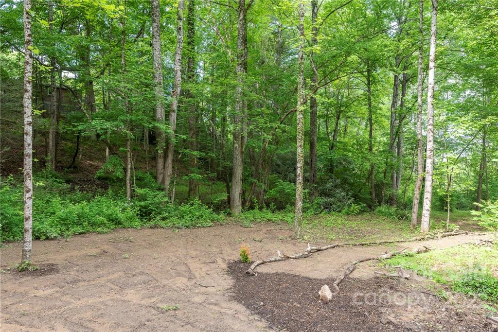 450 Lakey Gap Road Black Mountain NC 28711