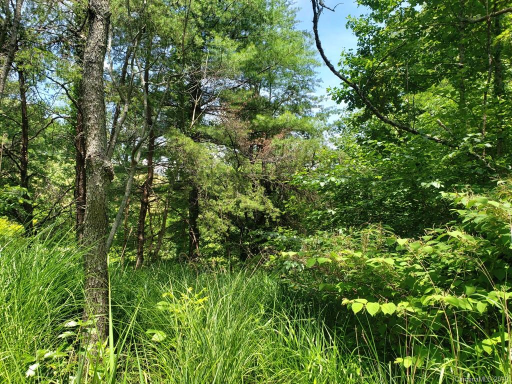 978 Deep Gap Loop Road Flat Rock NC 28731
