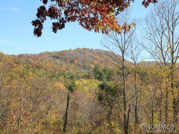 4 Spring Meadows Road Weaverville NC 28787