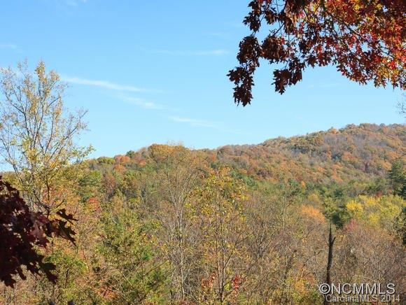4 Spring Meadows Road Weaverville NC 28787