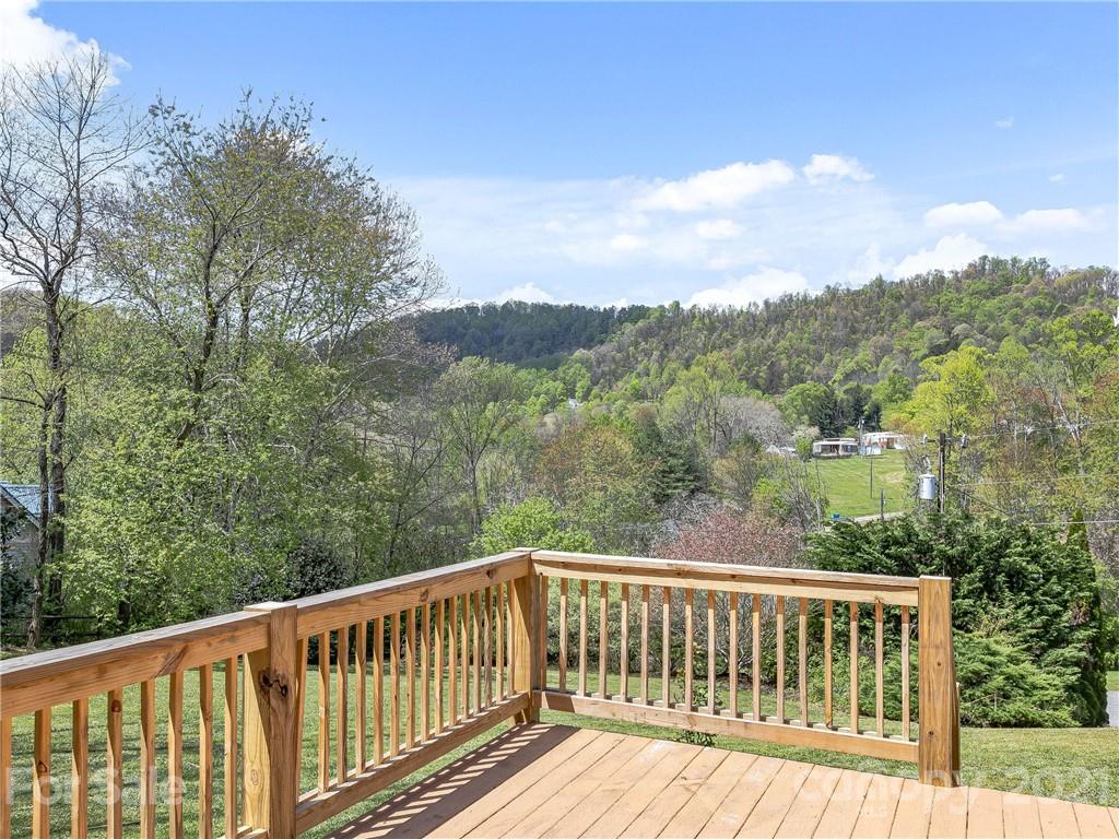 1003 Mountain Drive Candler NC 28715