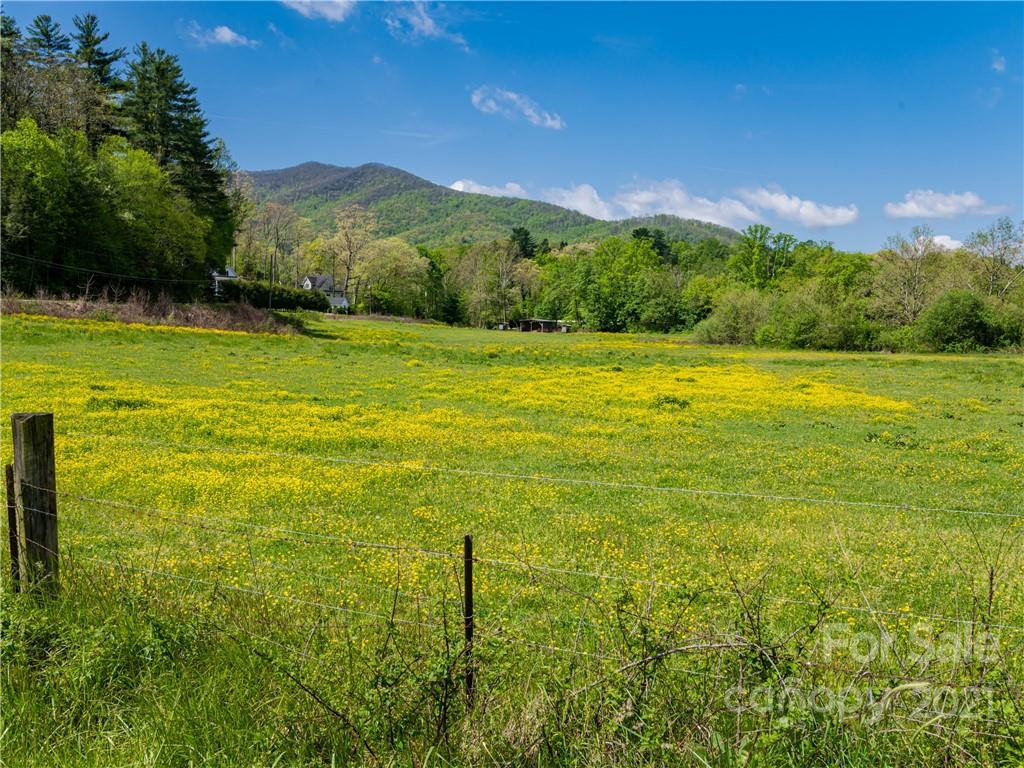 542 Sweet Birch Park Lane Black Mountain NC 28711