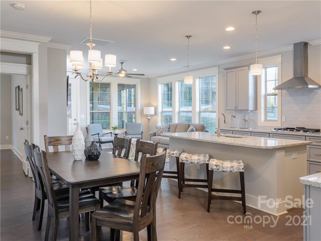 542 Sweet Birch Park Lane Black Mountain NC 28711