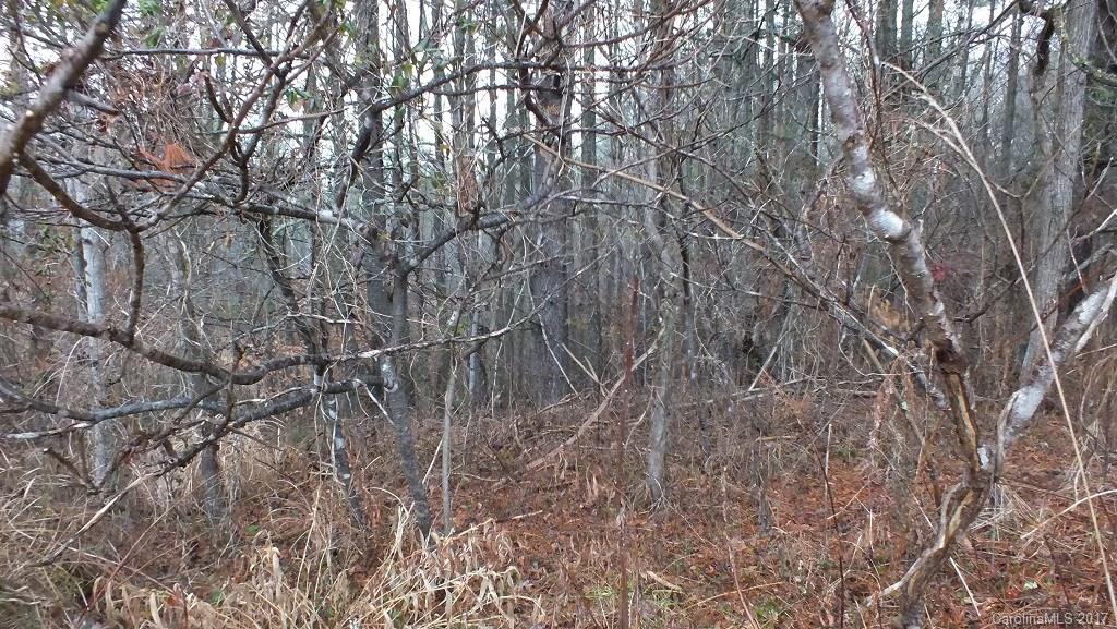 5.25 Acres Bull Creek Road Mars Hill NC 28754