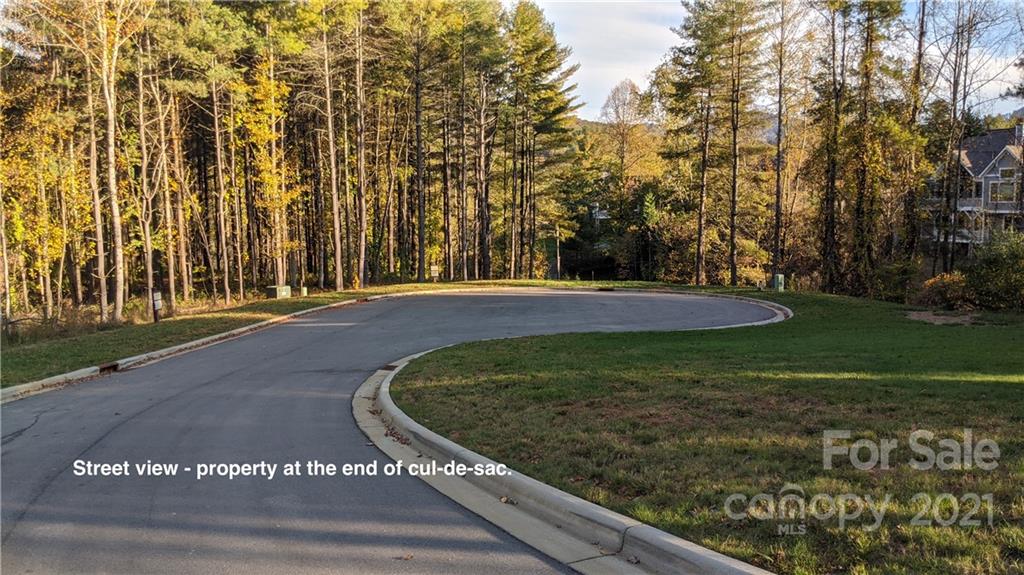 112 Blue Quill Court Biltmore Lake NC 28715