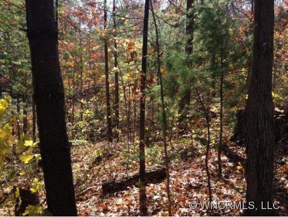Lot 19 Willow Road Asheville NC 28804