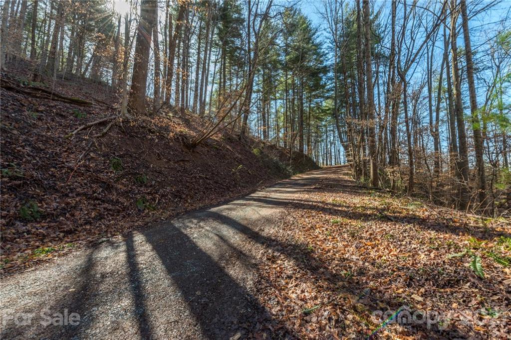 109 Pink Fox Cove Road Weaverville NC 28787