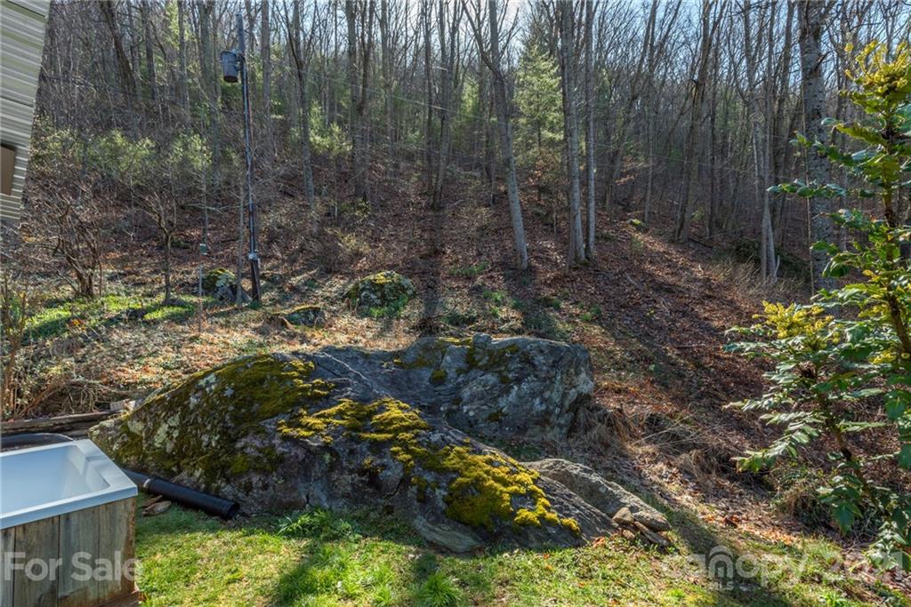 109 Pink Fox Cove Road Weaverville NC 28787