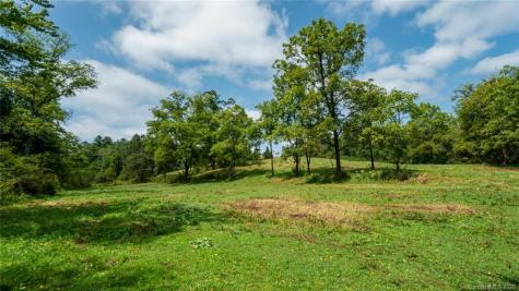 000 Turkey Creek Road Leicester NC 28748