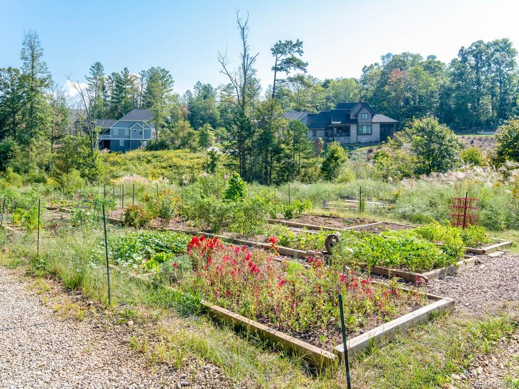 49 French Willow Drive Asheville NC 28804