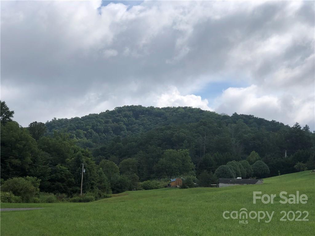52 Ivy Meadows Drive Weaverville NC 28787