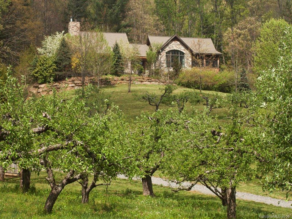 40 Sugar Hollow Orchard Drive Fairview NC 28730