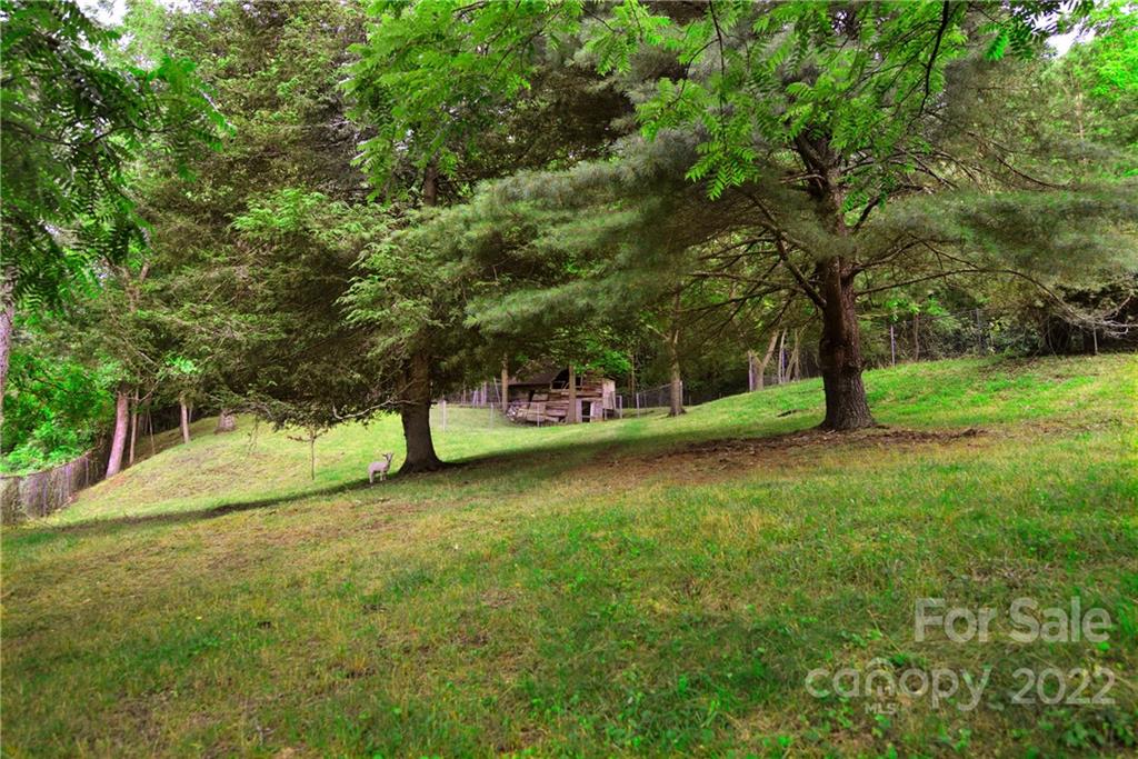 80 White Rock Branch Road Candler NC 28715