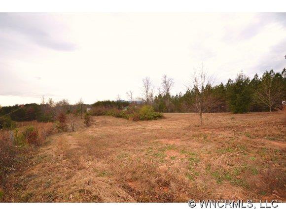127 Tobacco Road Mill Spring NC 28756