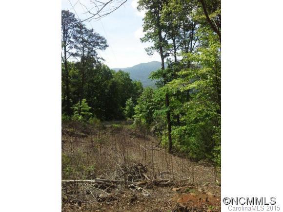 81 Sassafras Valley Road Swannanoa NC 28778