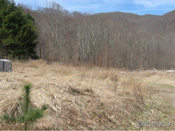 14 Dandelion Trail Waynesville NC 28785