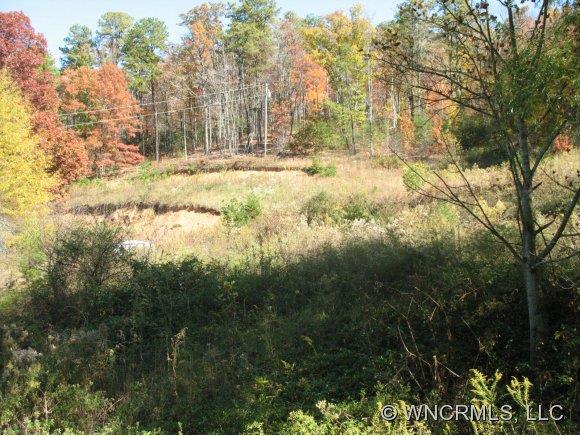 168 Moores Valley Road Leicester NC 28748